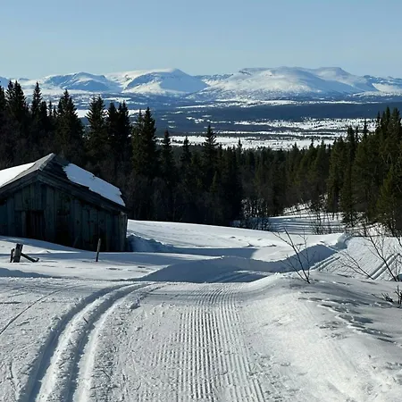 Sunny With Panoramic Views At Golsfjellet