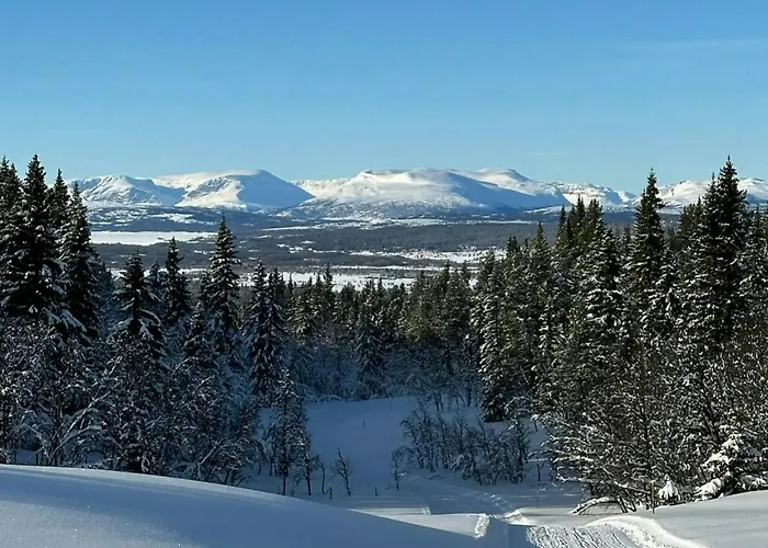 Sunny With Panoramic Views At Golsfjellet * Tisleidalen