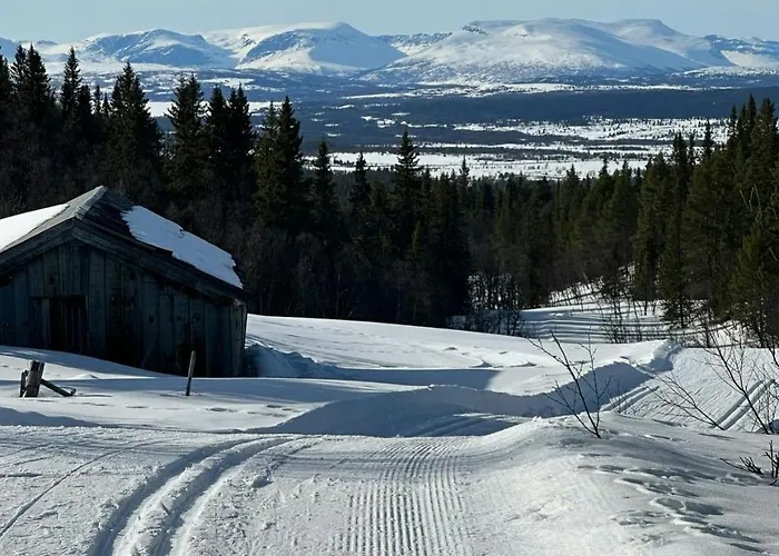 Sunny With Panoramic Views At Golsfjellet